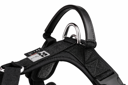 ARNÉS AVENTURDOG WILD CANE