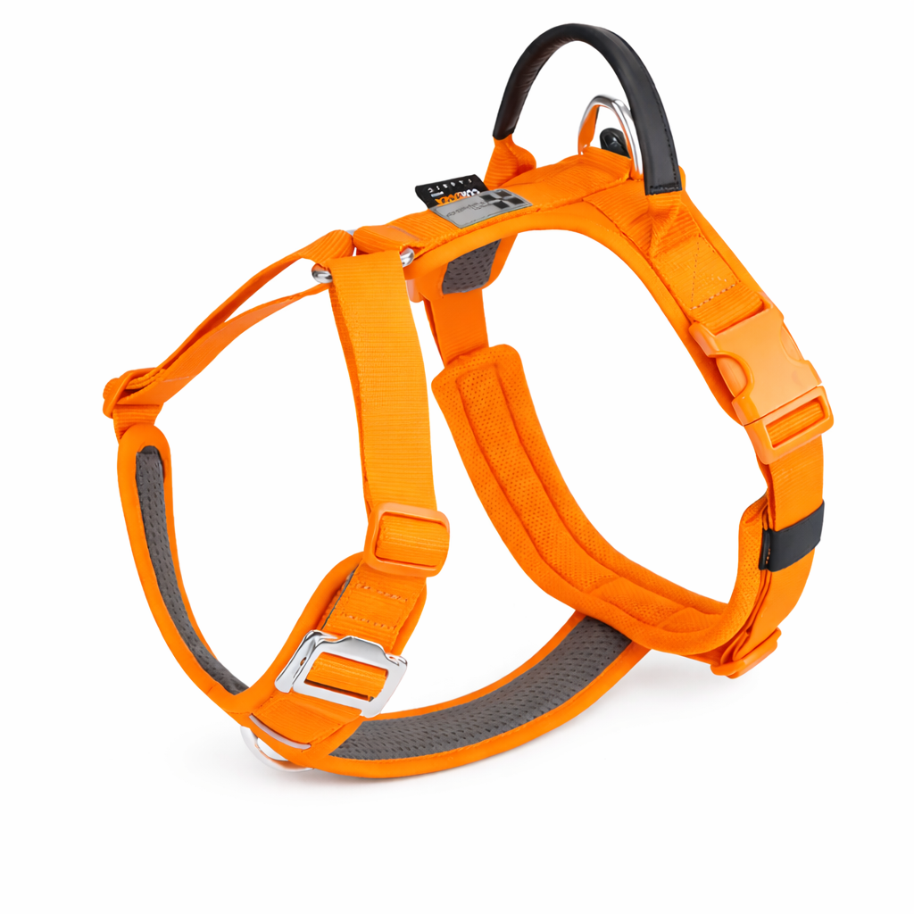 ARNÉS AVENTURDOG WILD CANE