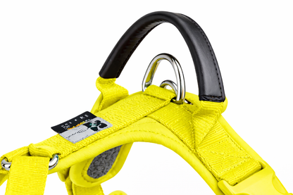 ARNÉS AVENTURDOG WILD CANE