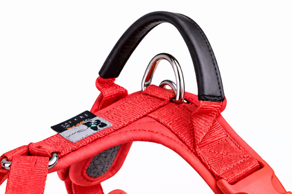 ARNÉS AVENTURDOG WILD CANE