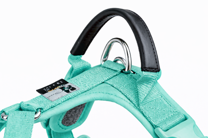 ARNÉS AVENTURDOG WILD CANE