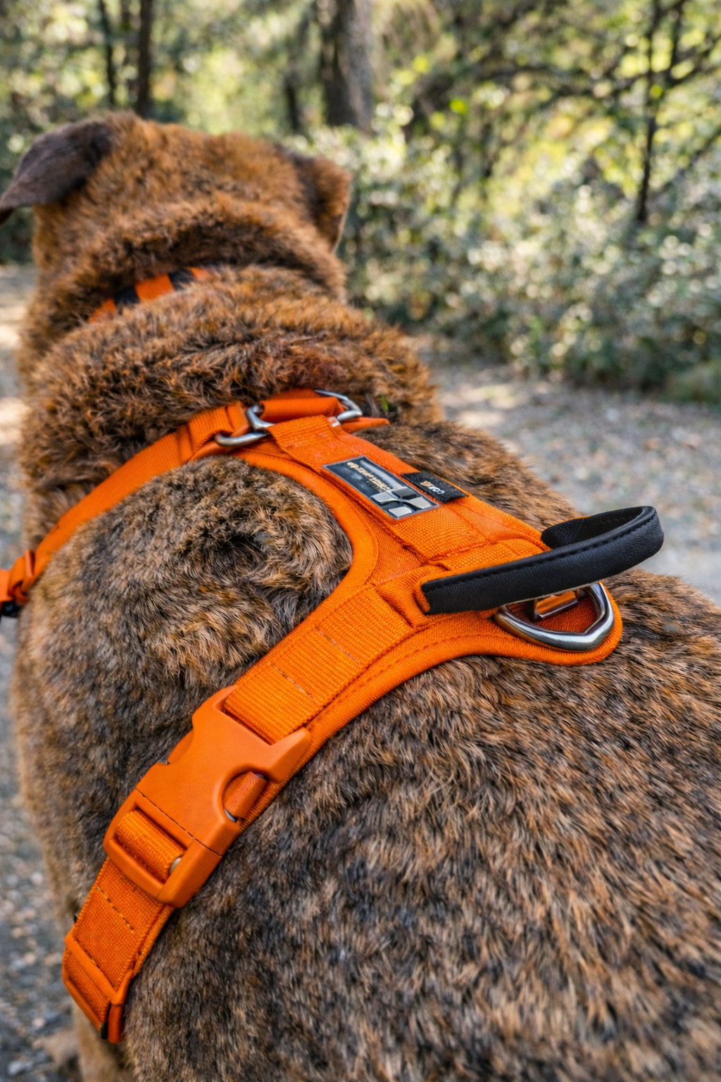 ARNÉS AVENTURDOG WILD CANE