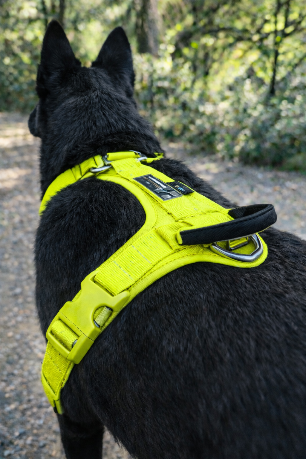 ARNÉS AVENTURDOG WILD CANE