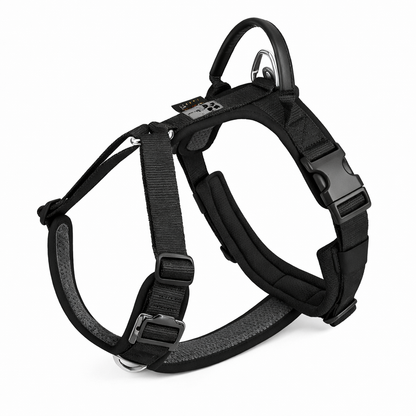 KIT AVENTURA PRO AVENTURDOG