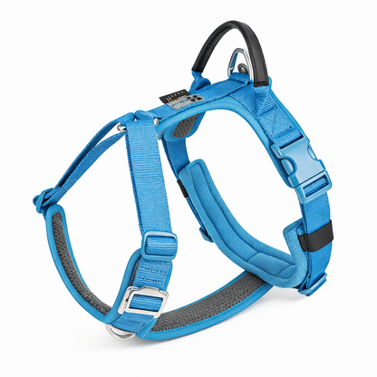 KIT AVENTURA PLUS AVENTURDOG
