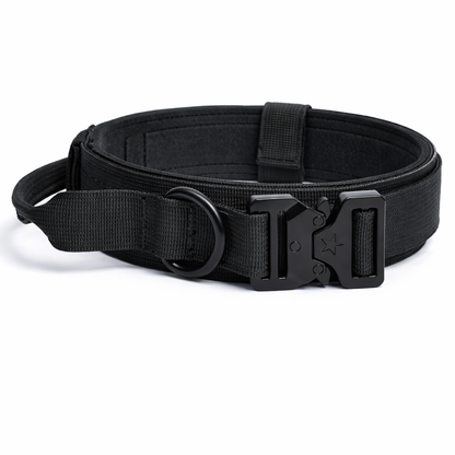COLLAR &CORREA AVENTURDOG TACTIC