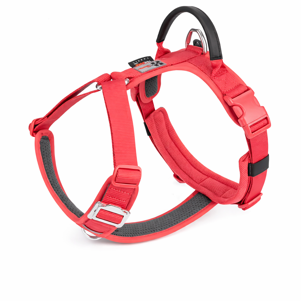 KIT AVENTURA AVENTURDOG