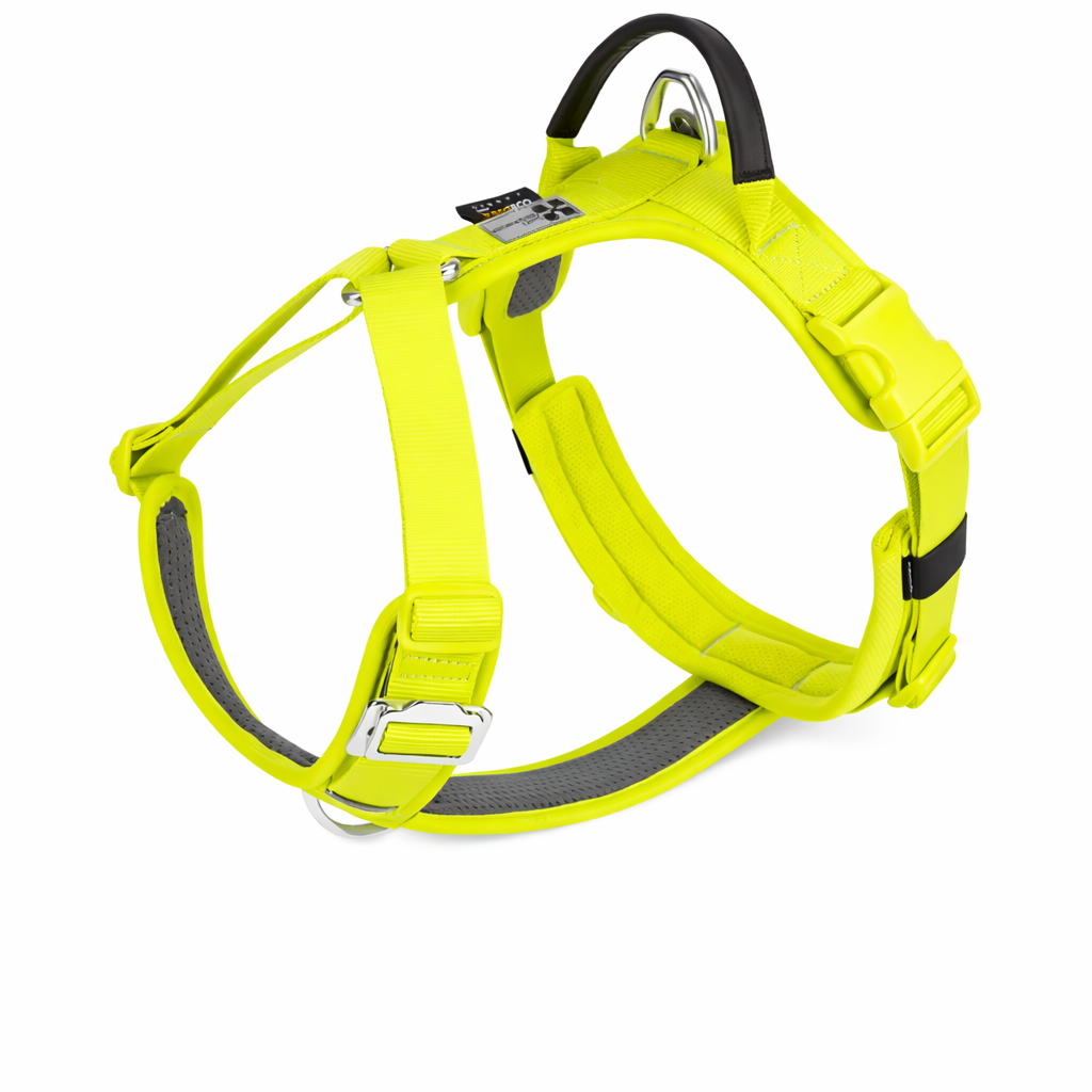 KIT AVENTURA AVENTURDOG