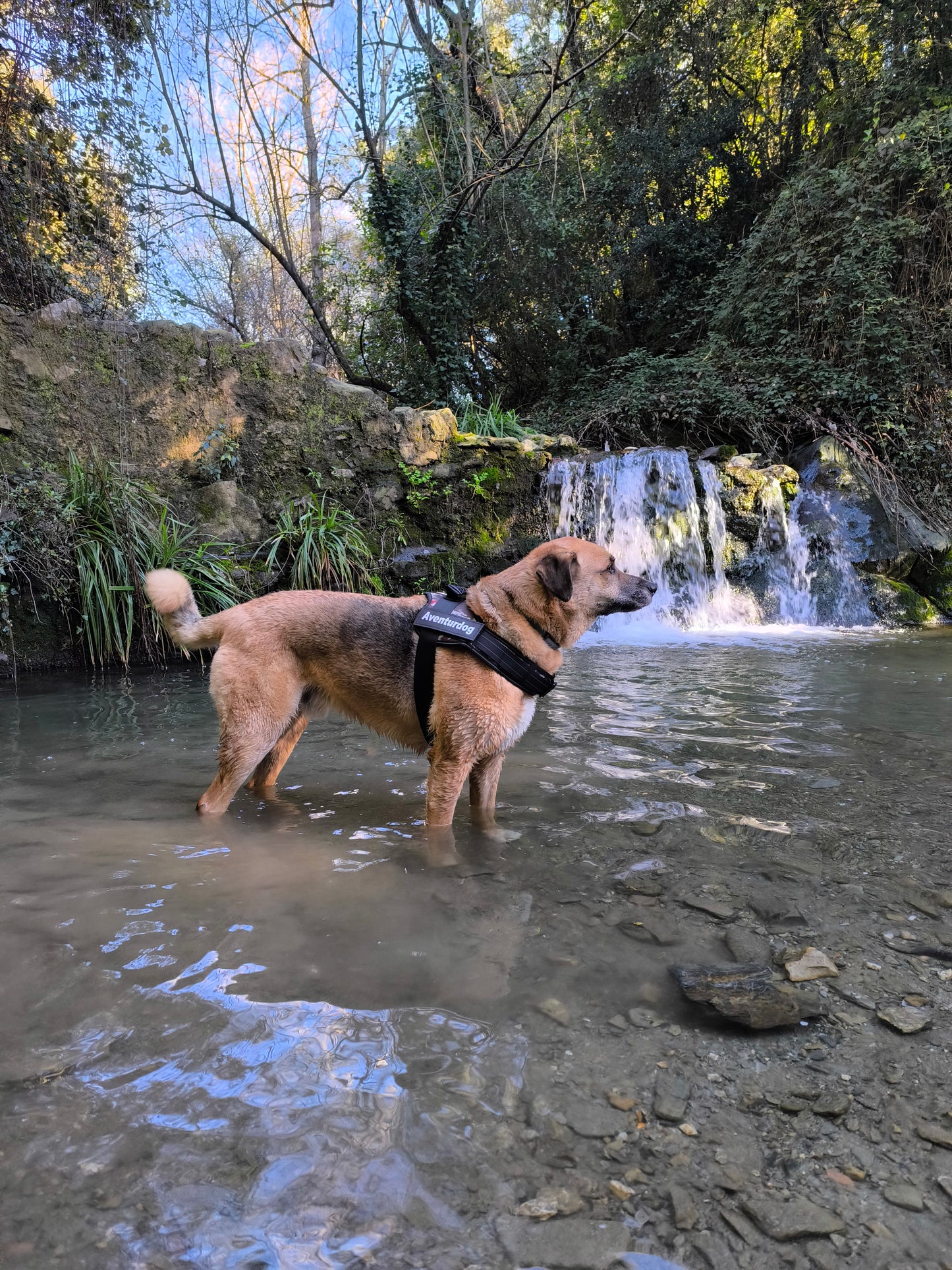 ARNÉS AVENTURDOG TACTICAL ID
