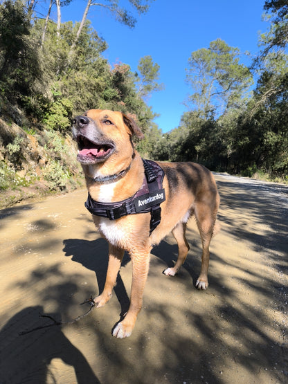 ARNÉS AVENTURDOG TACTICAL ID