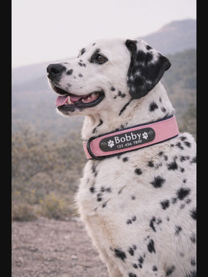 COLLAR AVENTURDOG PERSONALIZABLE TERRA